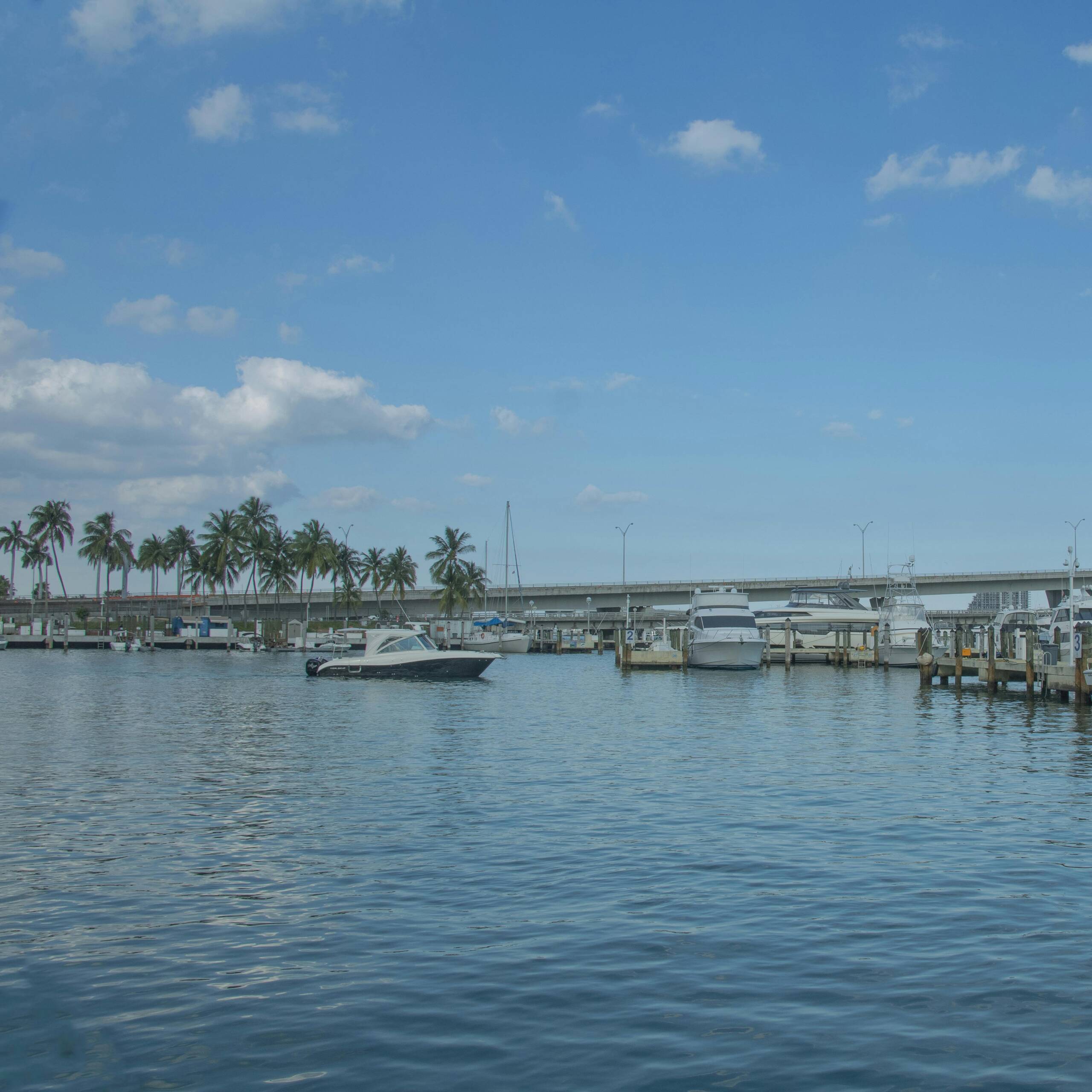Yacht Bookings
